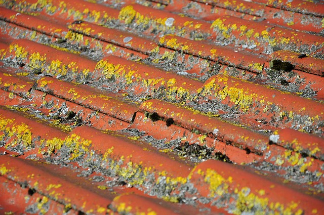 A damaged roof