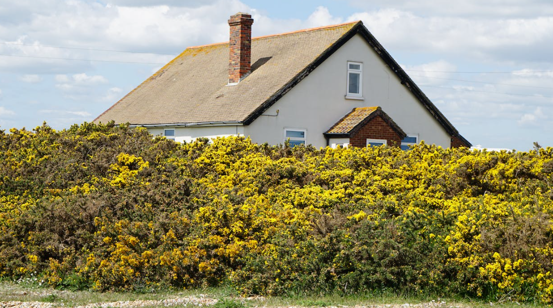 White painted house with brick chimney