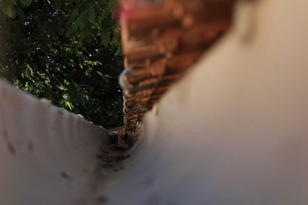 A close-up of a roof gutter