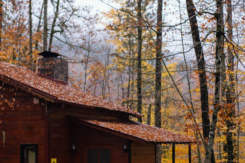 Autumn cabin with a chimney, symbolizing the need for weatherproofing chimneys to safeguard homes during harsh weather conditions.