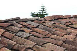 Close-up of a shingle roof showing intact and durable shingles in perfect alignment.