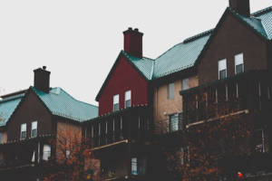 Residential houses with chimneys and rooftops designed for durability in New York.